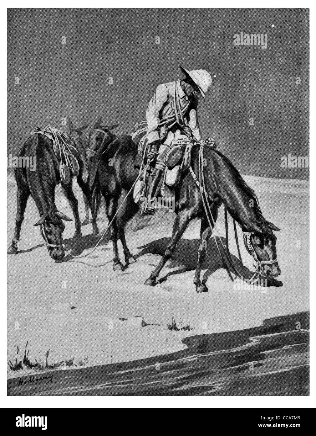 1915 morire di sete soldato britannico correndo davanti foro di acqua oasi assetati di disidratazione Sahara Deserto colpo di calore cavallo di sabbia del flusso Foto Stock