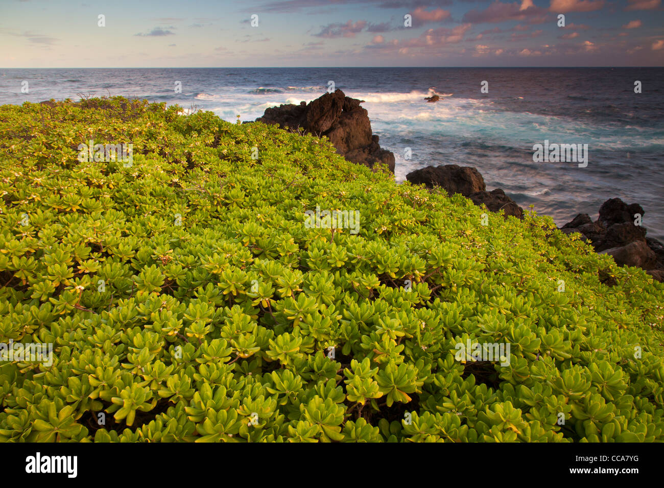 Oceano Pacifico a ohe"o Gulch - aka sette piscine sacra, Haleakala National Park, vicino a Maui, Hawaii. Foto Stock