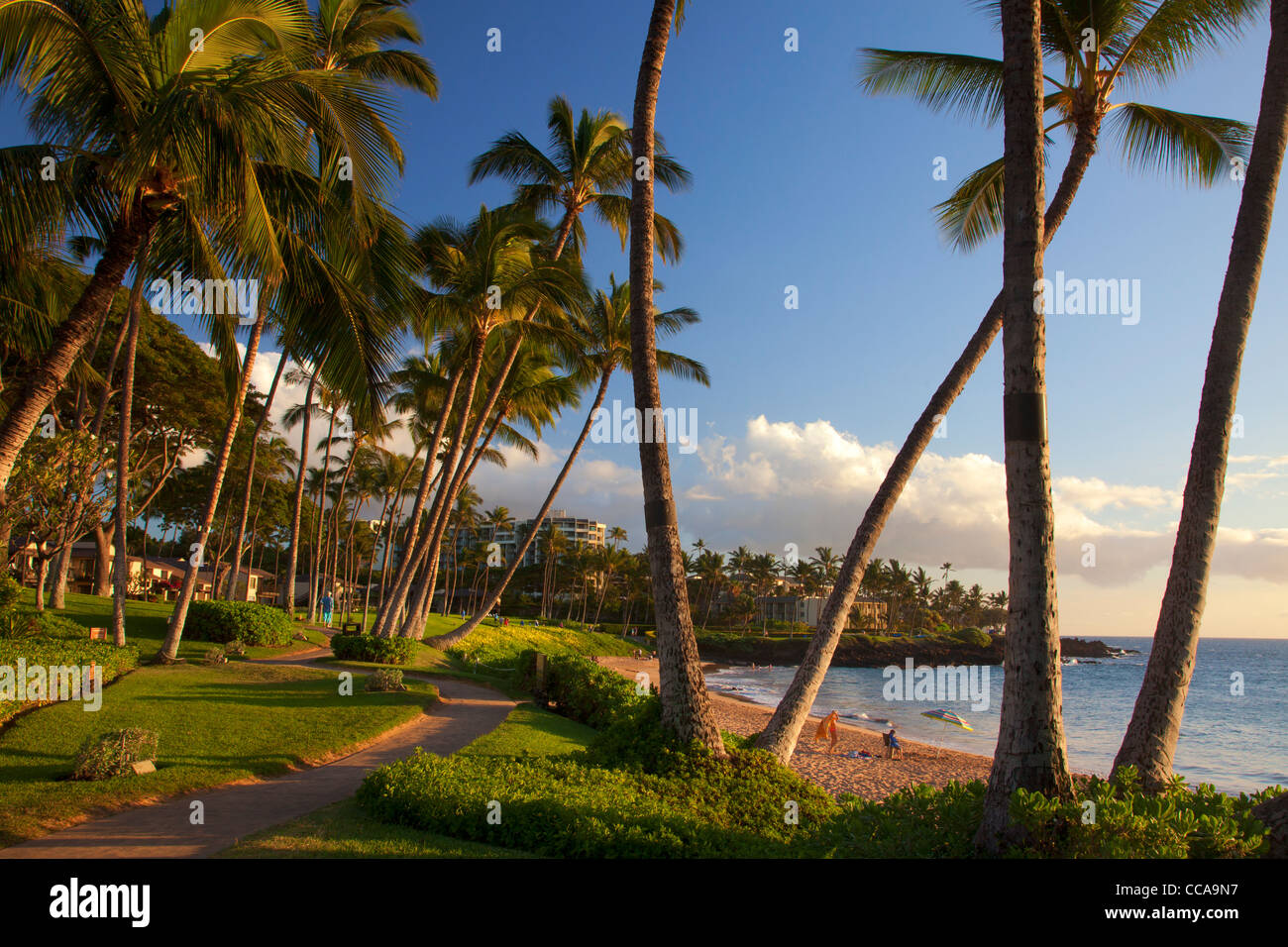 Ulua Beach, Wailea, Maui, Hawaii. Foto Stock