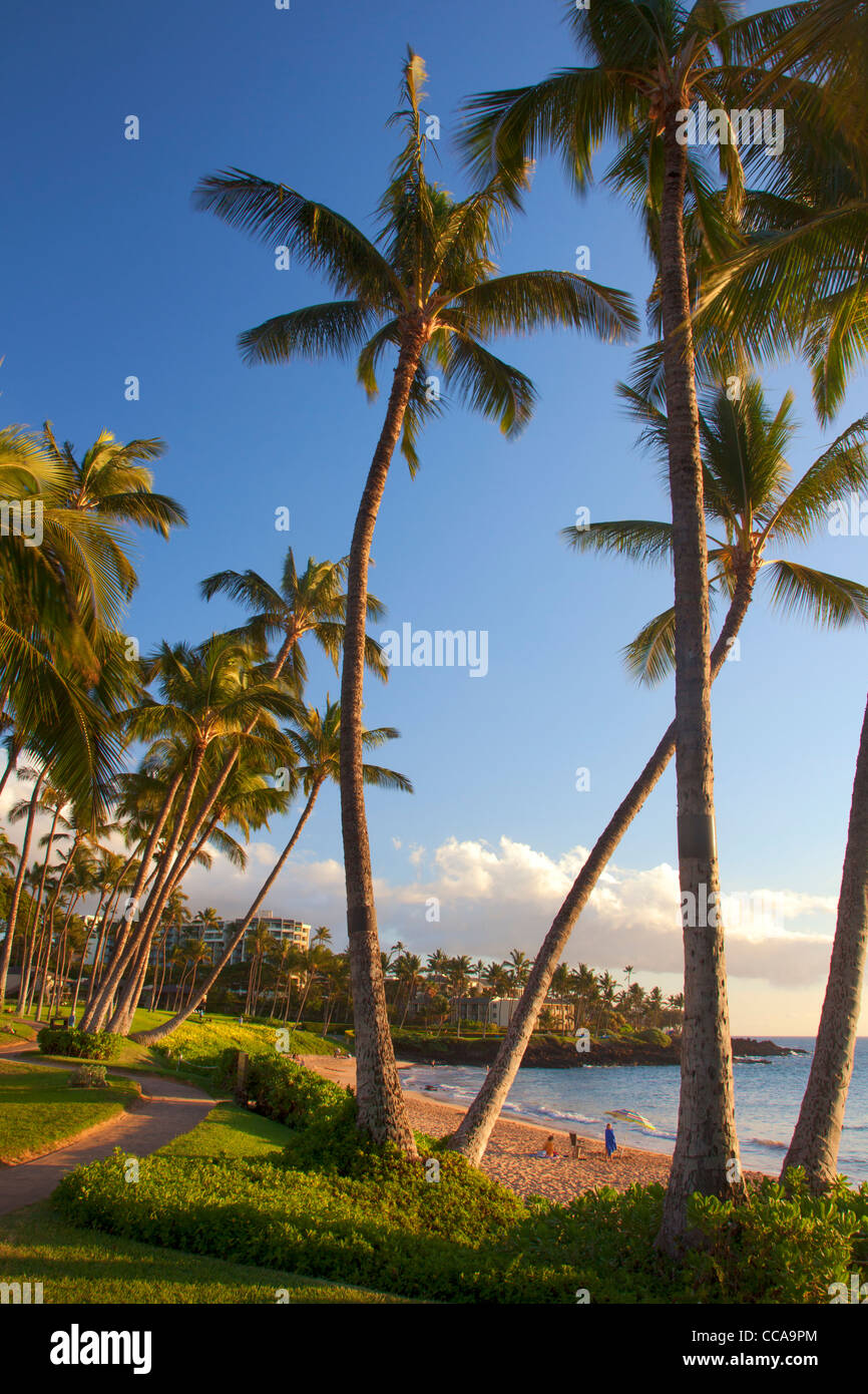 Ulua Beach, Wailea, Maui, Hawaii. Foto Stock