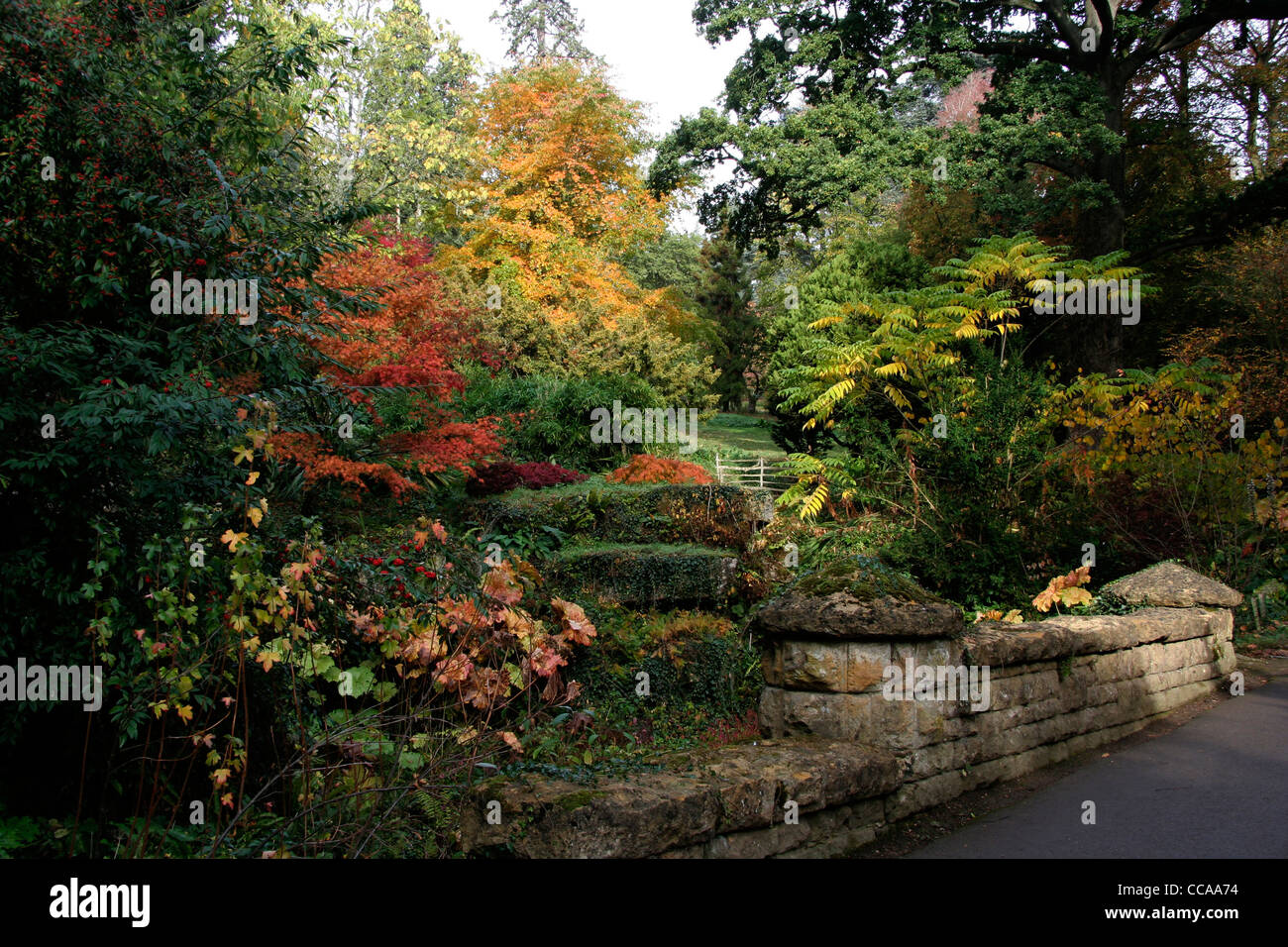 Batsford Arboretum Gloucestershire Foto Stock