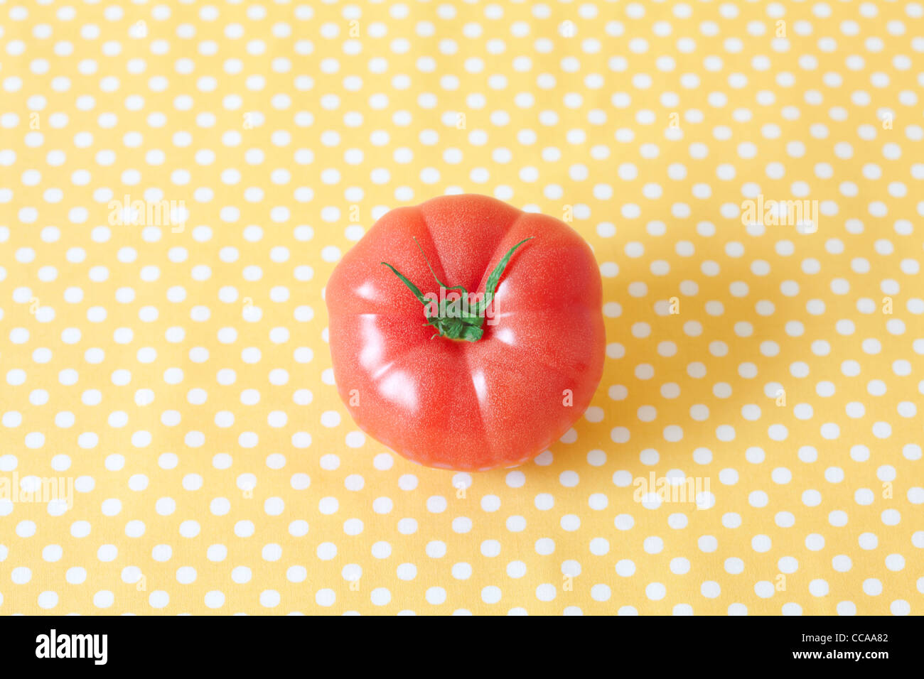 Pomodoro unico sulla Polka Dot panno Foto Stock