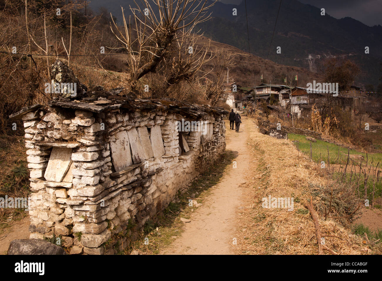 India, Arunachal Pradesh, Tawang Valley, Lhou village, tradizionale pietra mani da parete che divide il percorso di villaggio Foto Stock