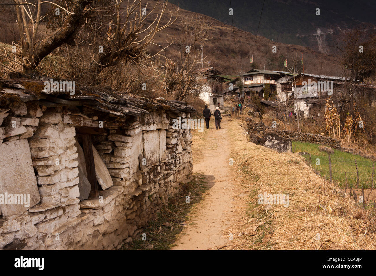 India, Arunachal Pradesh, Tawang Valley, Lhou village, tradizionale pietra mani da parete che divide il percorso di villaggio Foto Stock