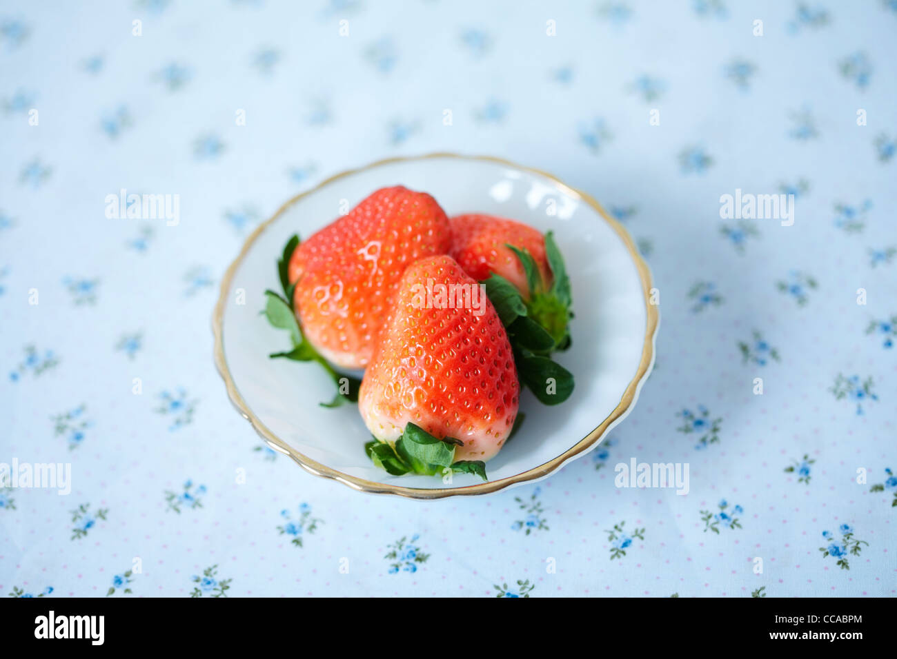 Le fragole sul tavolo blu panno Foto Stock