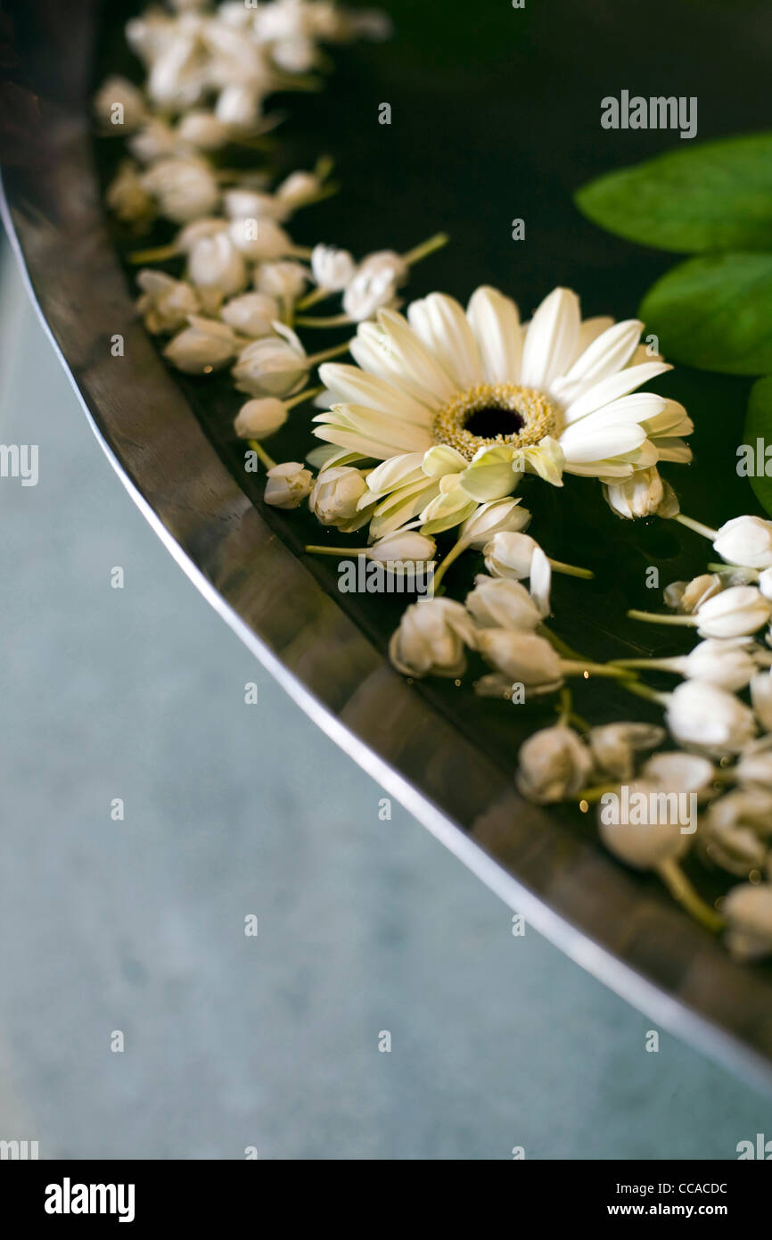 Dettagli di fiori e petali nel ristorante del Park Hotel New Delhi, India. Foto Stock