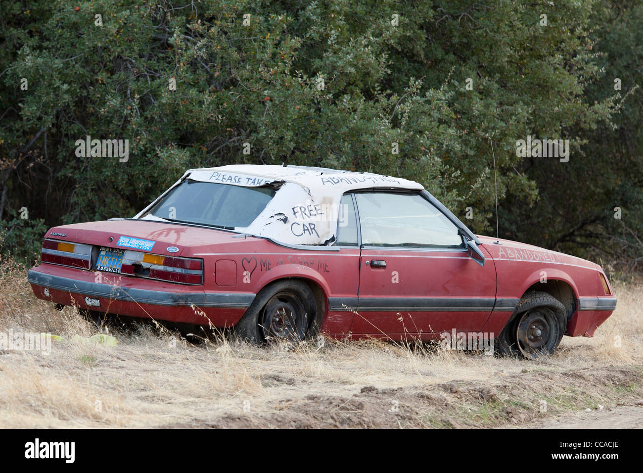 Auto abbandonate - USA Foto Stock