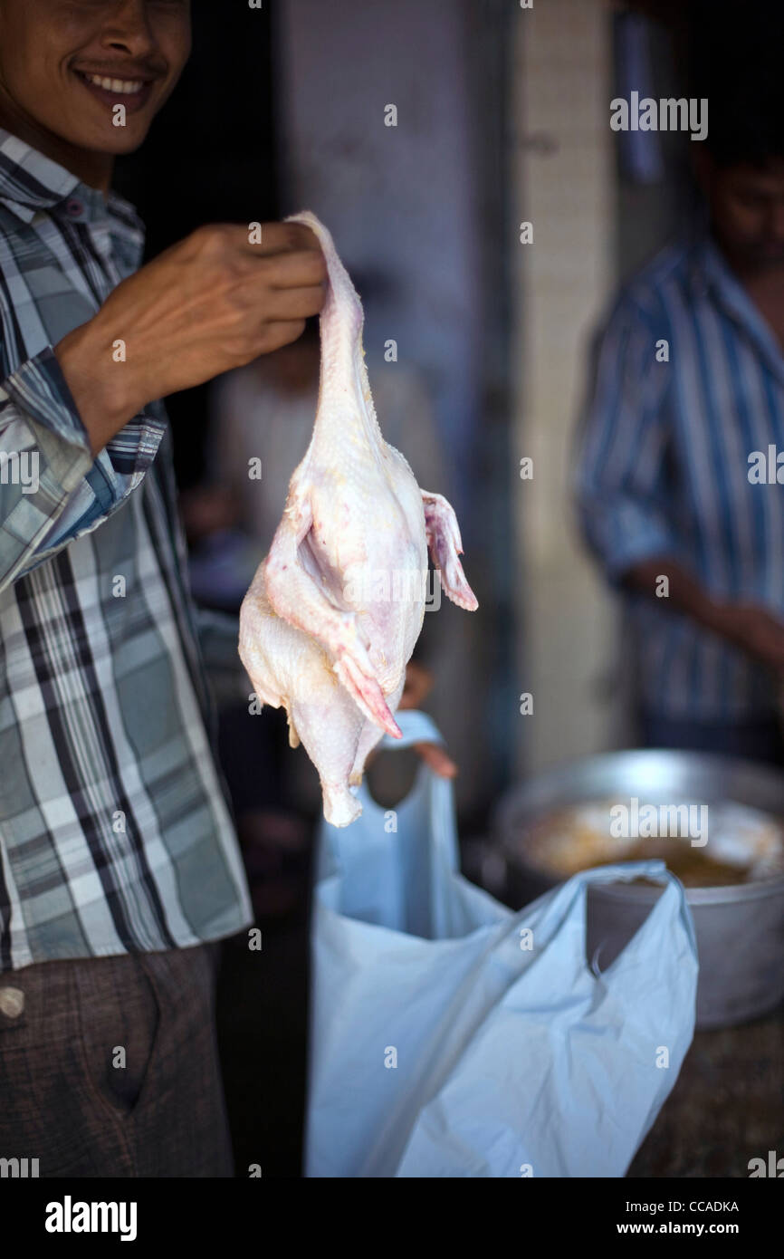 Un cuoco detiene un pollo in corrispondenza di Babu Shahi Bawarchi, New Delhi, India Foto Stock