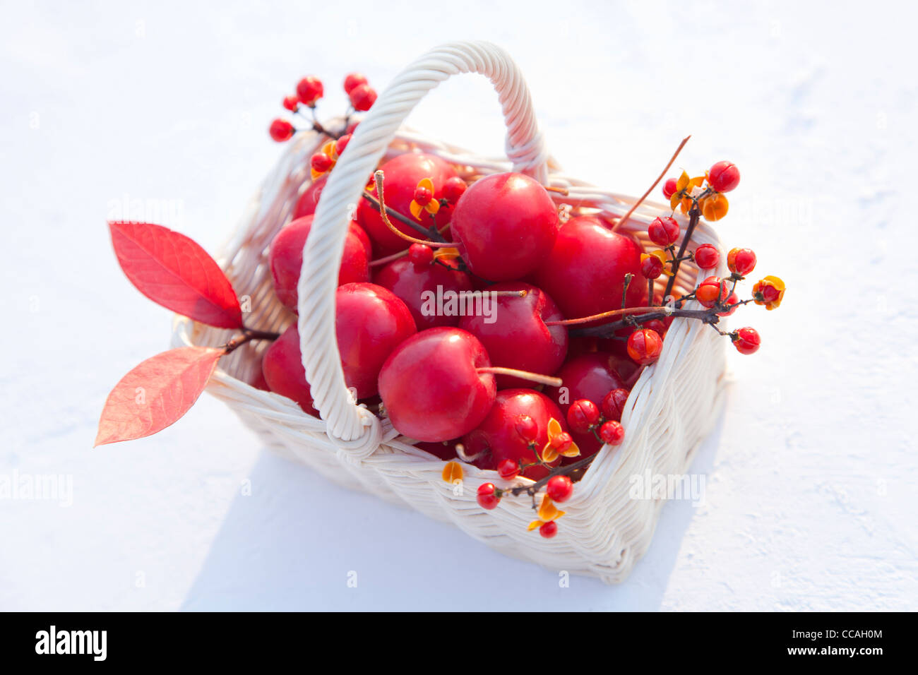 La principessa le mele e il Personale i rami degli alberi in Basket Foto Stock