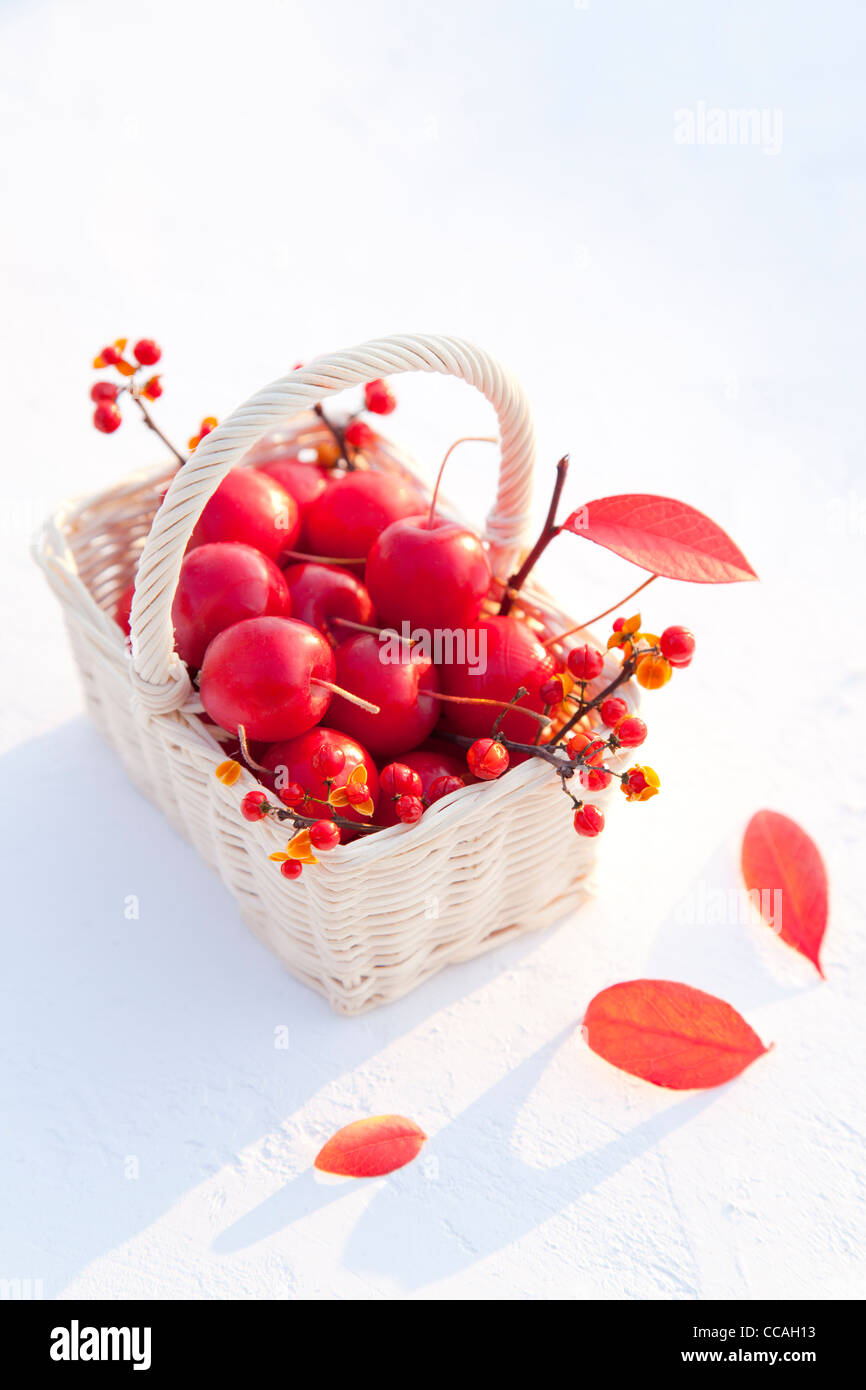 La principessa le mele e il Personale i rami degli alberi in Basket Foto Stock