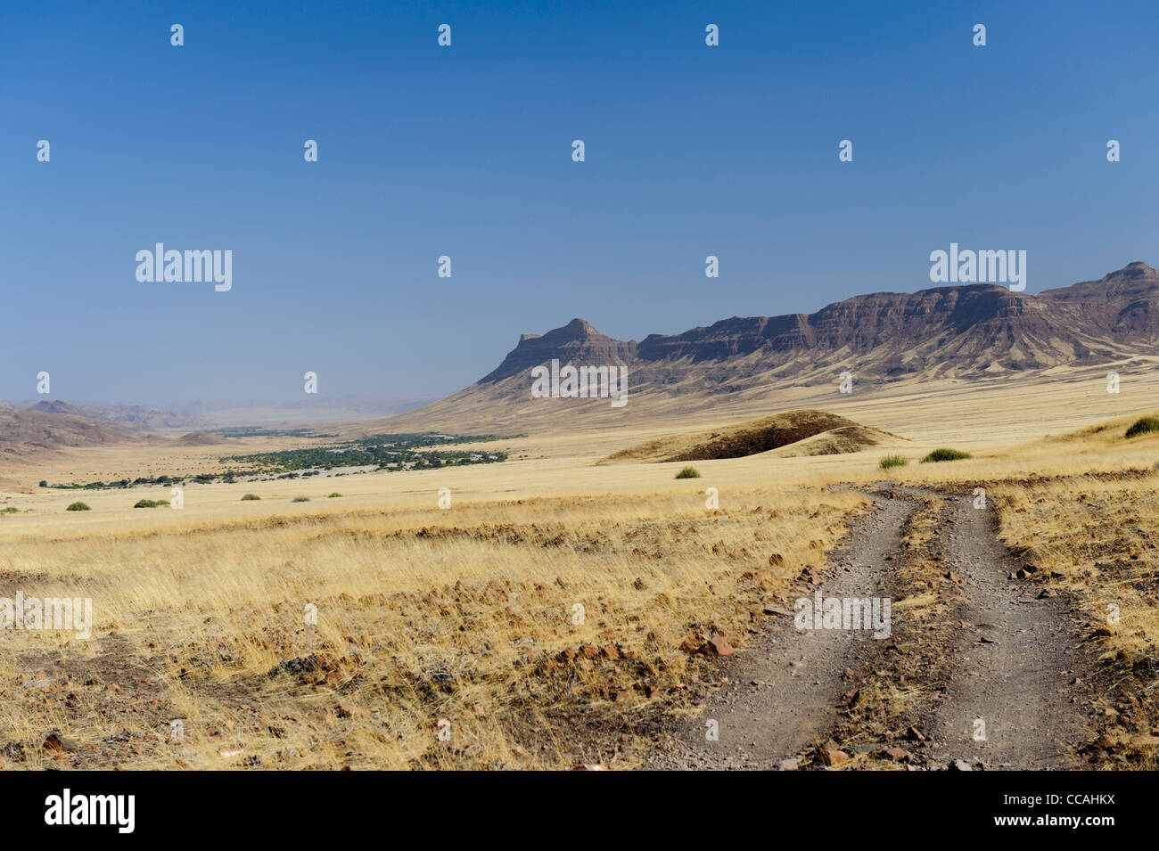 Vista da una pista sul paesaggio intorno Purros, verde alveo del fiume Hoarusib visto in lontananza. Kaokoland, Namibia. Foto Stock