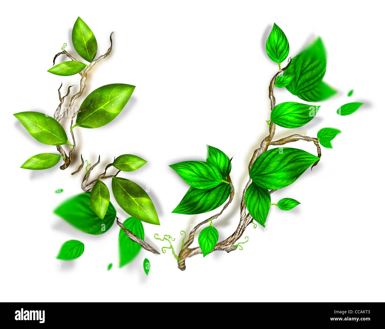 Il ramo con fresche foglie verdi Foto Stock