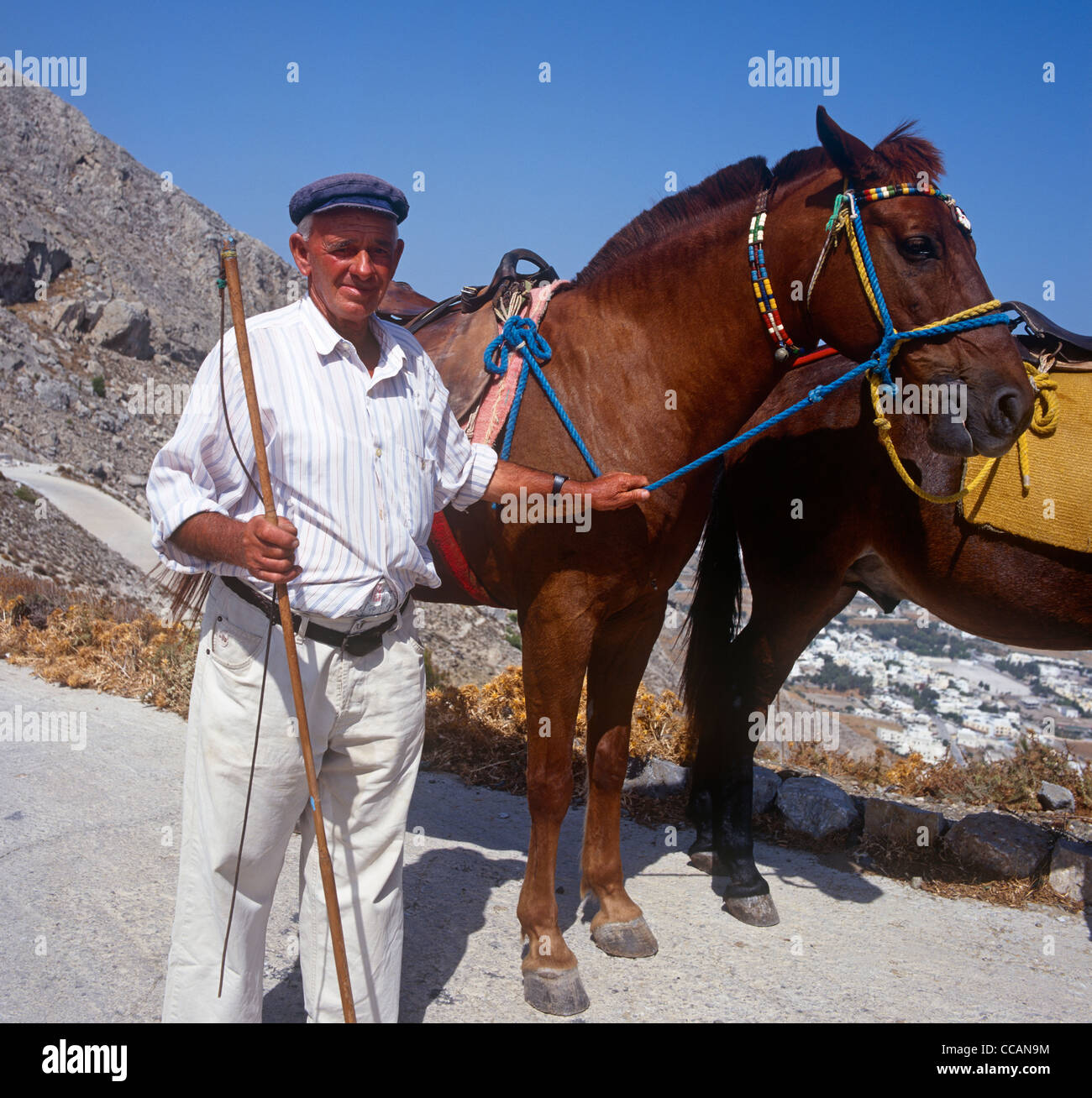 Uomo greco con i cavalli Santorini isole Greche - Grecia Foto Stock