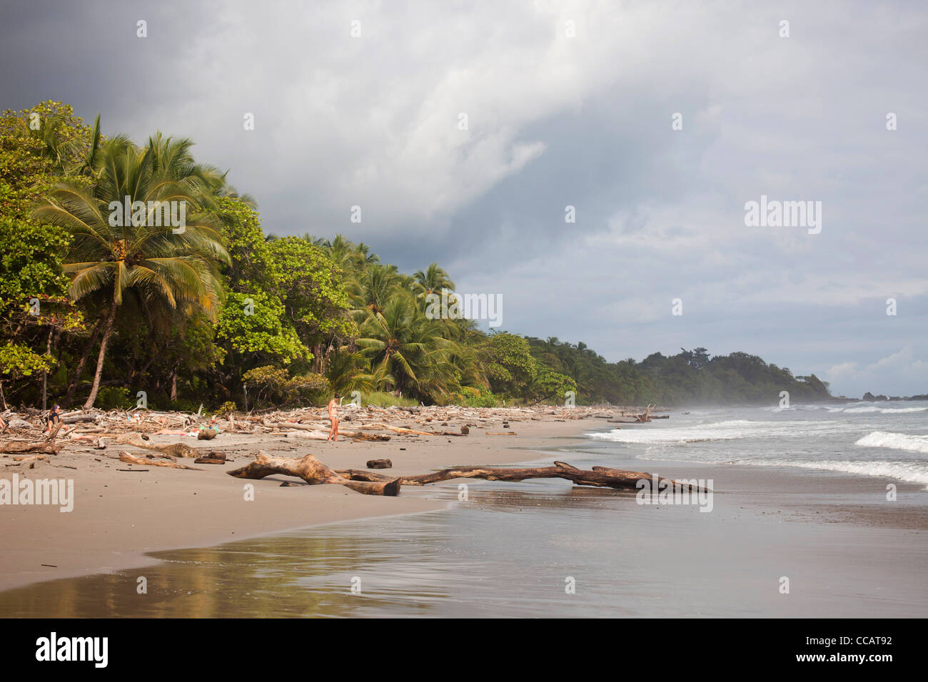 Playa Grande, una lunga spiaggia di sabbia vicino a Montezuma, Nicoya peninsula, Costa Rica, America Centrale Foto Stock