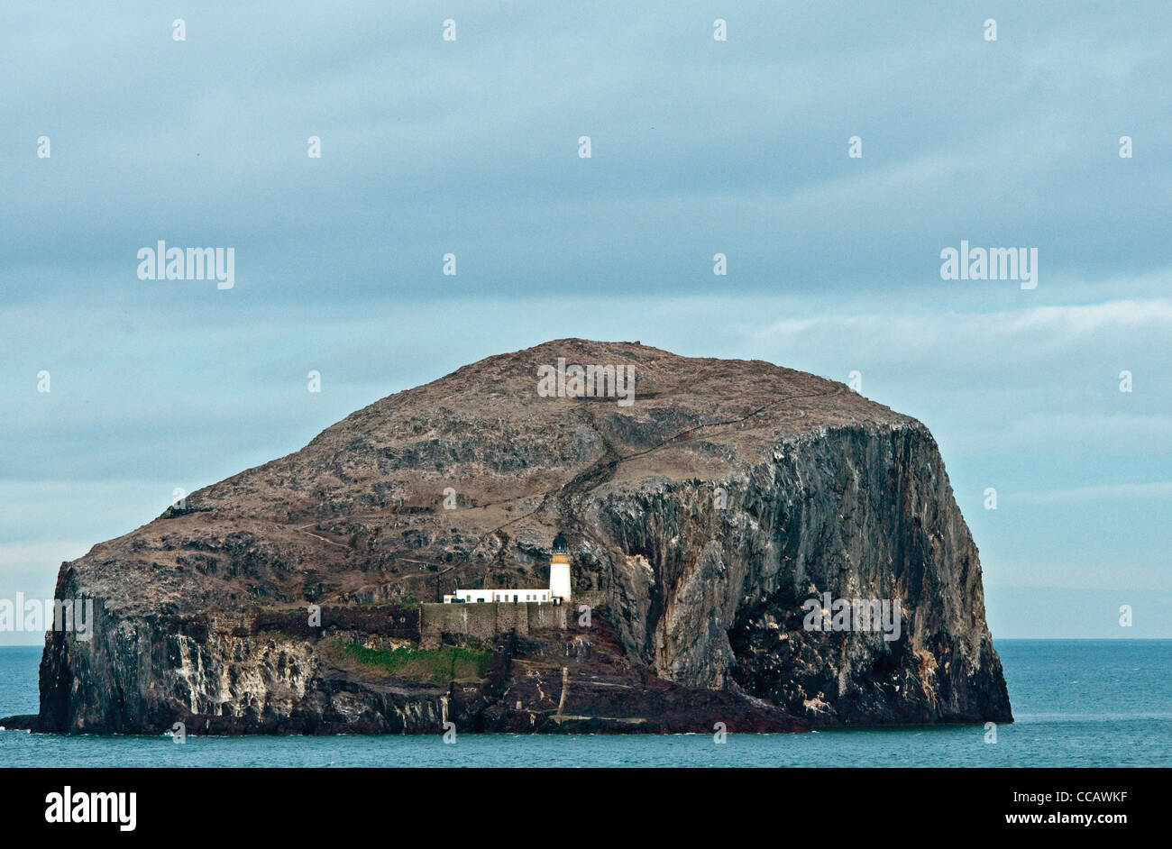 Bass Rock, un'isola nella parte esterna Firth of Forth, Scotland Regno Unito Foto Stock