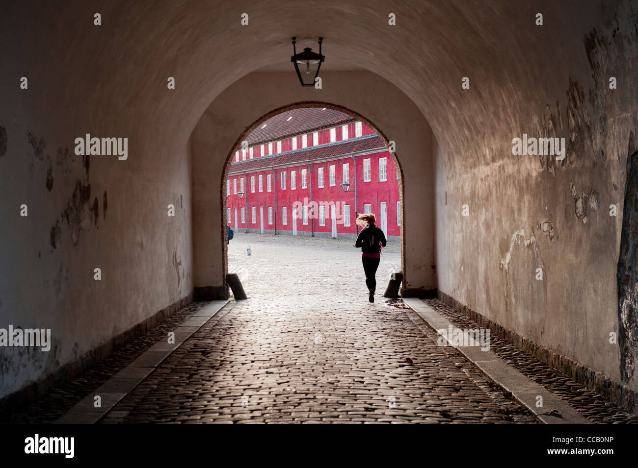 Fortezza di Kastellet in Copenhagen Foto Stock