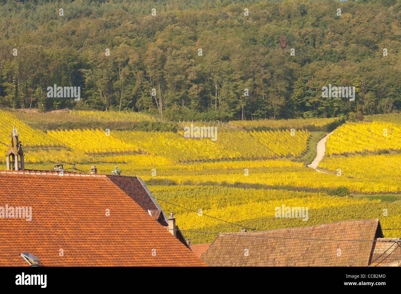 Autunno in scena l'Alsazia comune di Hunawihr in Haut-Rhin, Francia. Foto Stock
