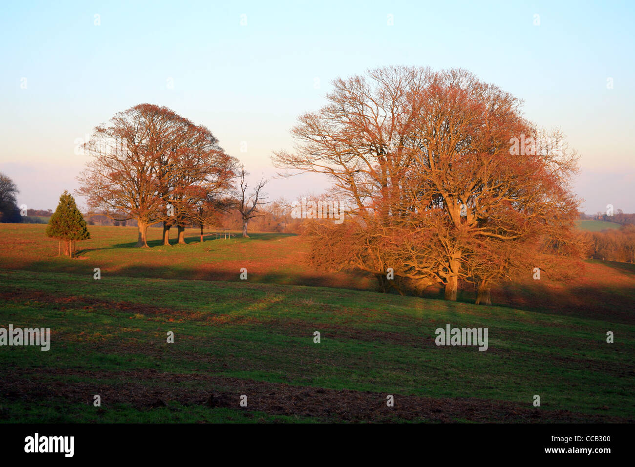 Vista da via dei pellegrini su Kingsmill giù, Hastingleigh, North Downs, Ashford, Kent, England, Regno Unito Foto Stock