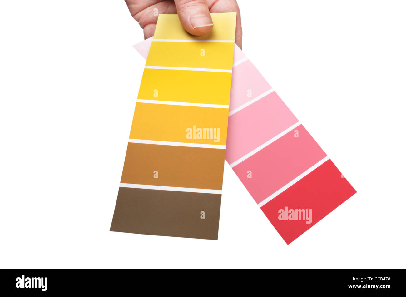 Campione di colore - Giovanni Gollop Foto Stock