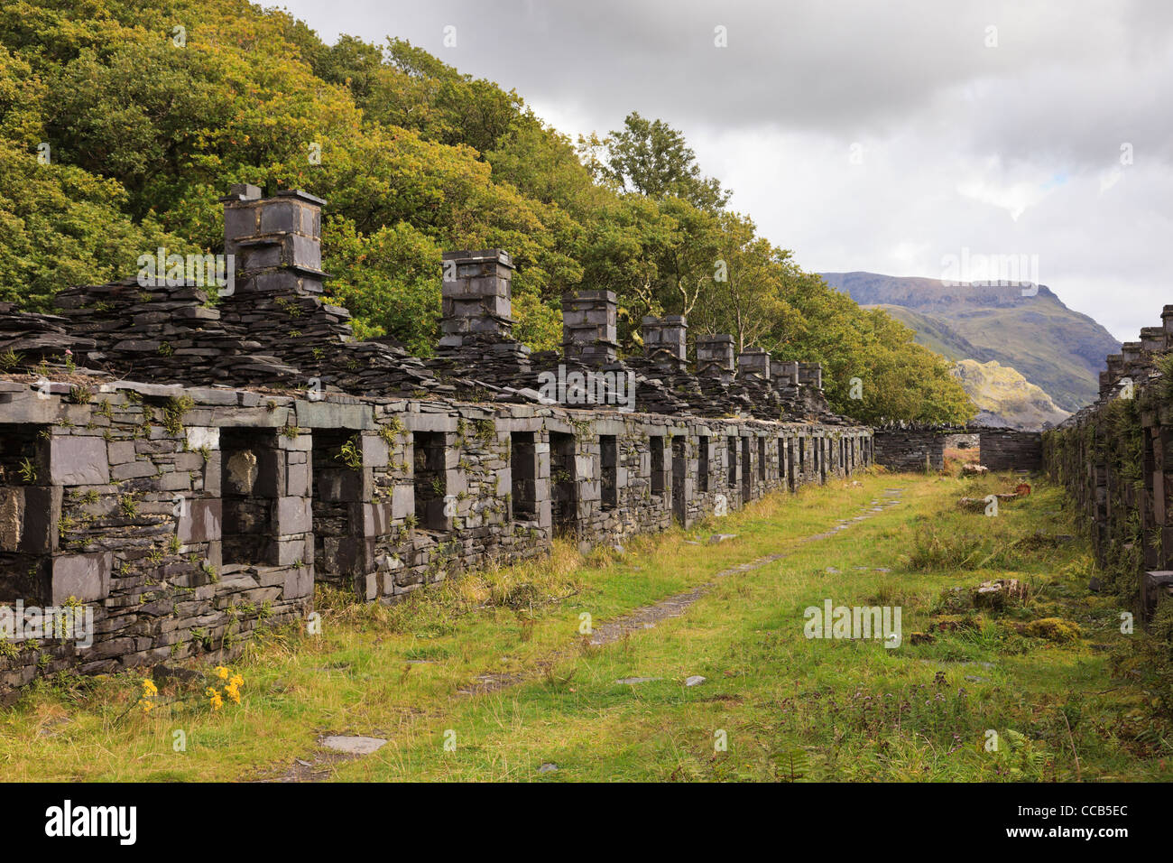 Rovine della vecchia caserma di Anglesey cavatori di cottages in disuso Dinorwig cava di ardesia su Elidir Fawr in Snowdonia North Wales UK Foto Stock