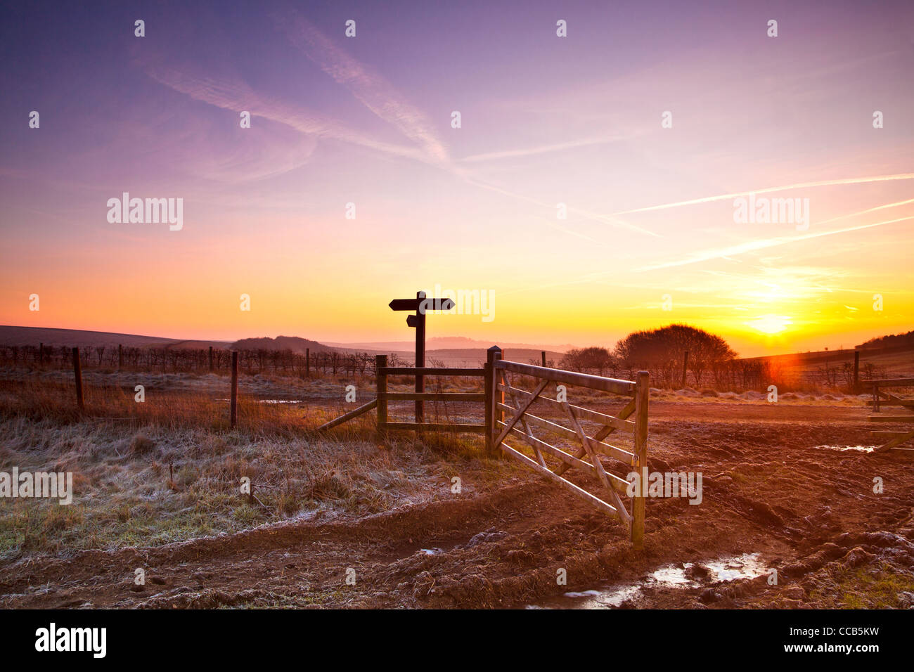 Un gelido inverno sunrise oltre la Ridgeway distanza lungo il percorso a Hackpen Hill, Wiltshire, Inghilterra, Regno Unito Foto Stock
