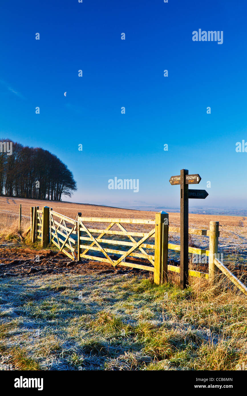 Un gelido inverno sunrise oltre la Ridgeway distanza lungo il percorso a Hackpen Hill, Wiltshire, Inghilterra, Regno Unito Foto Stock