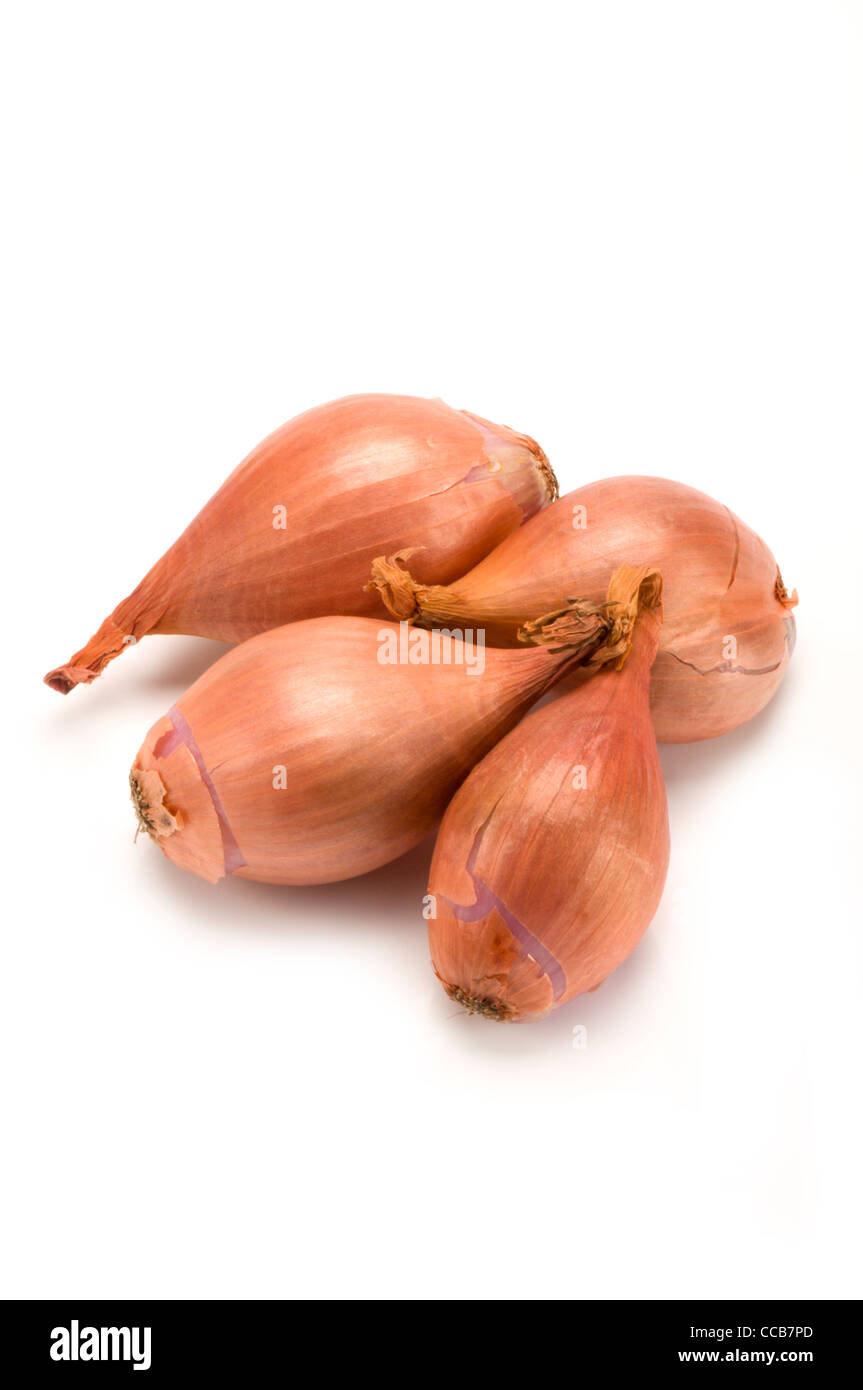 Il francese di scalogni su bianco Foto Stock