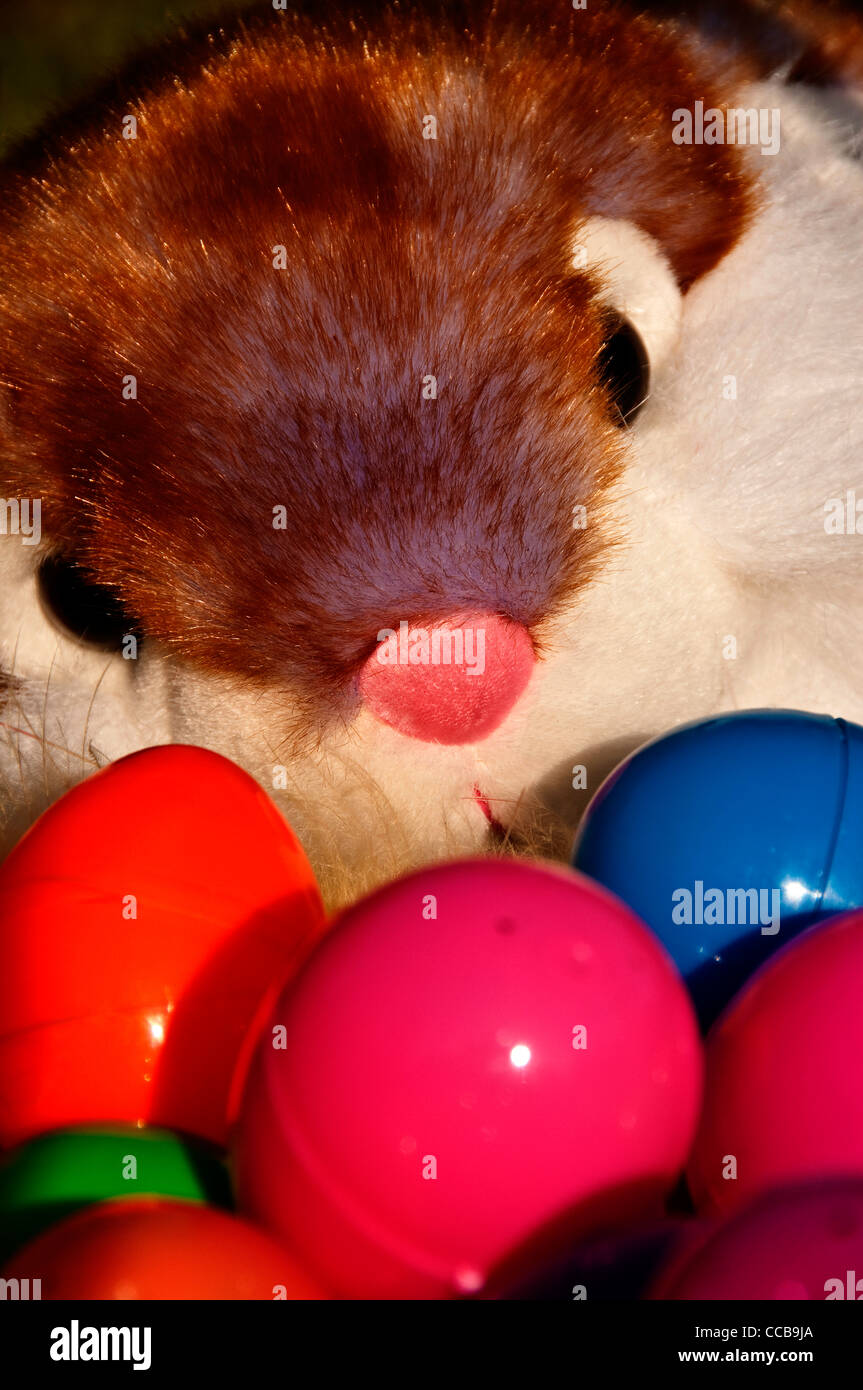Coniglietto di pasqua closeup dietro la pila di plastica colorata delle uova di Pasqua Foto Stock