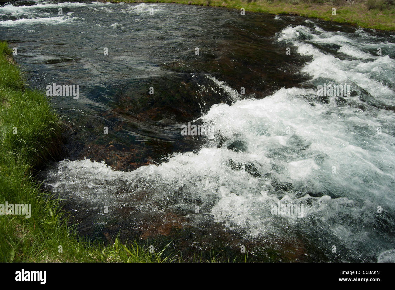 Correndo acqua in Spring Creek in Oregon orientale. Foto Stock