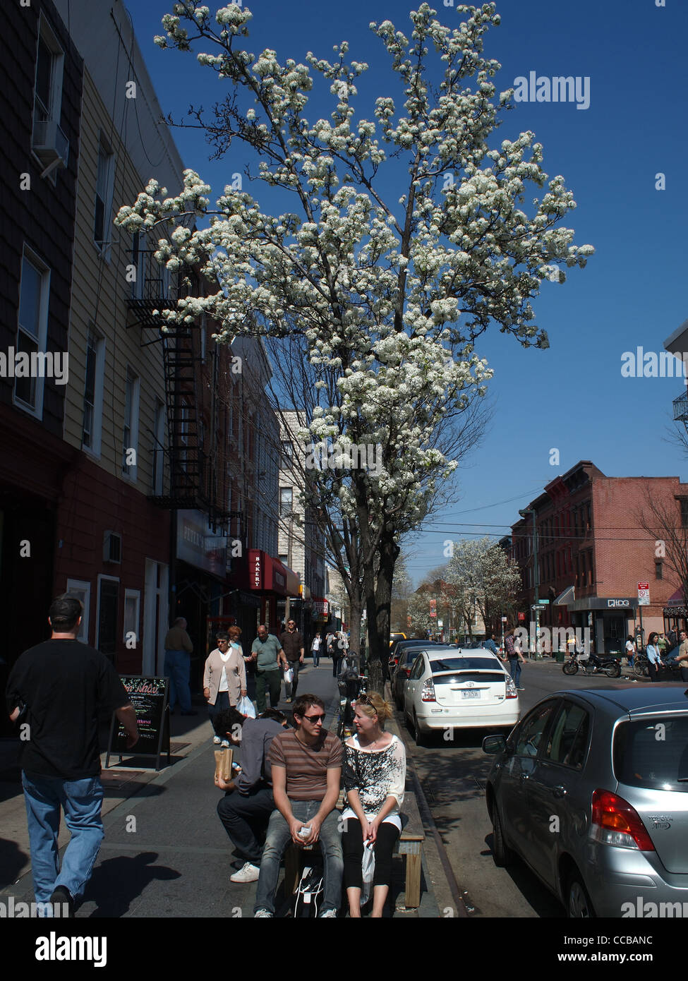 Pedoni godere di primavera meteo come i fiori sbocciano in Brooklyn, New York Foto Stock