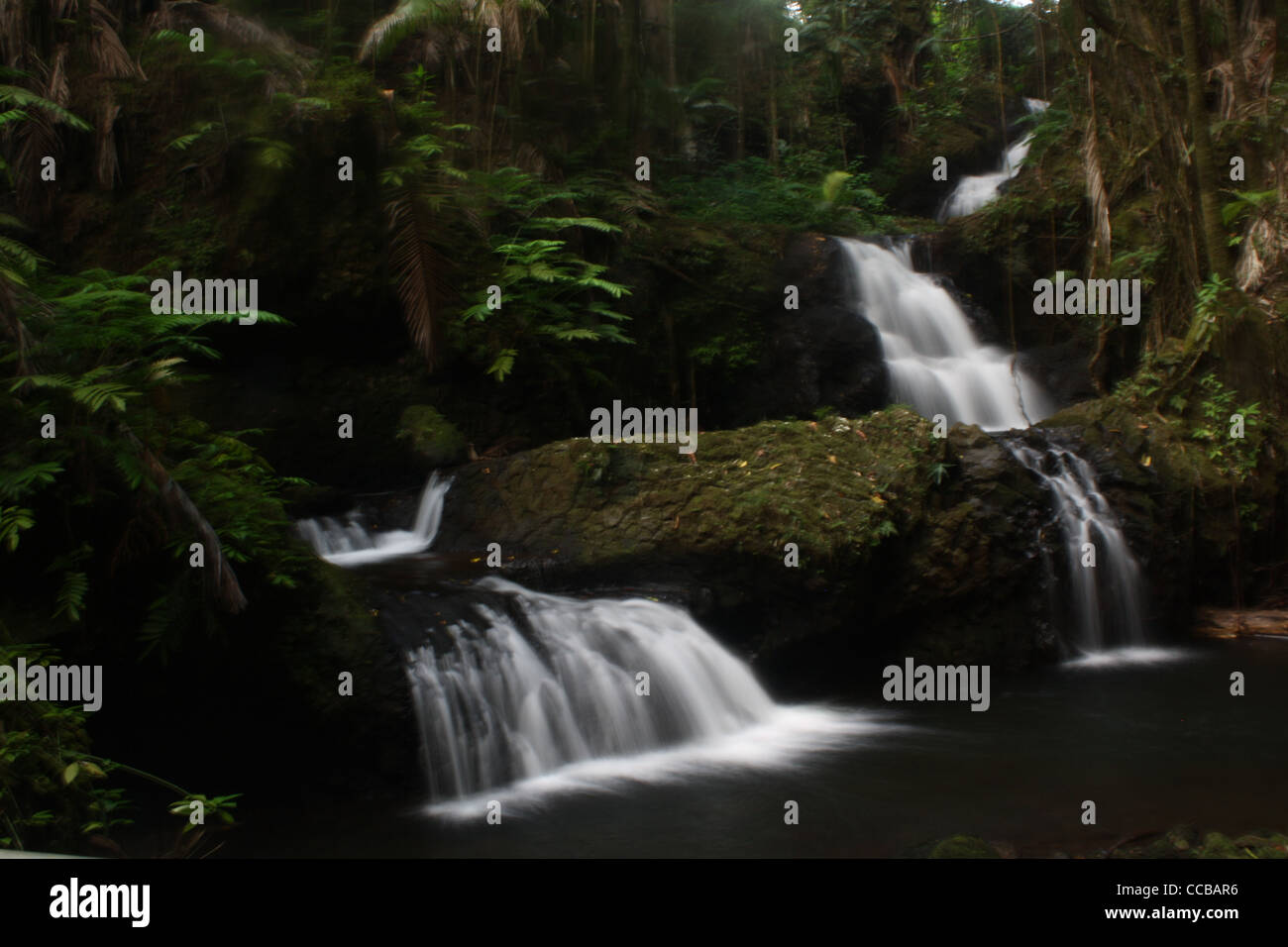 Onomea Hawaii cascata cade Foto Stock