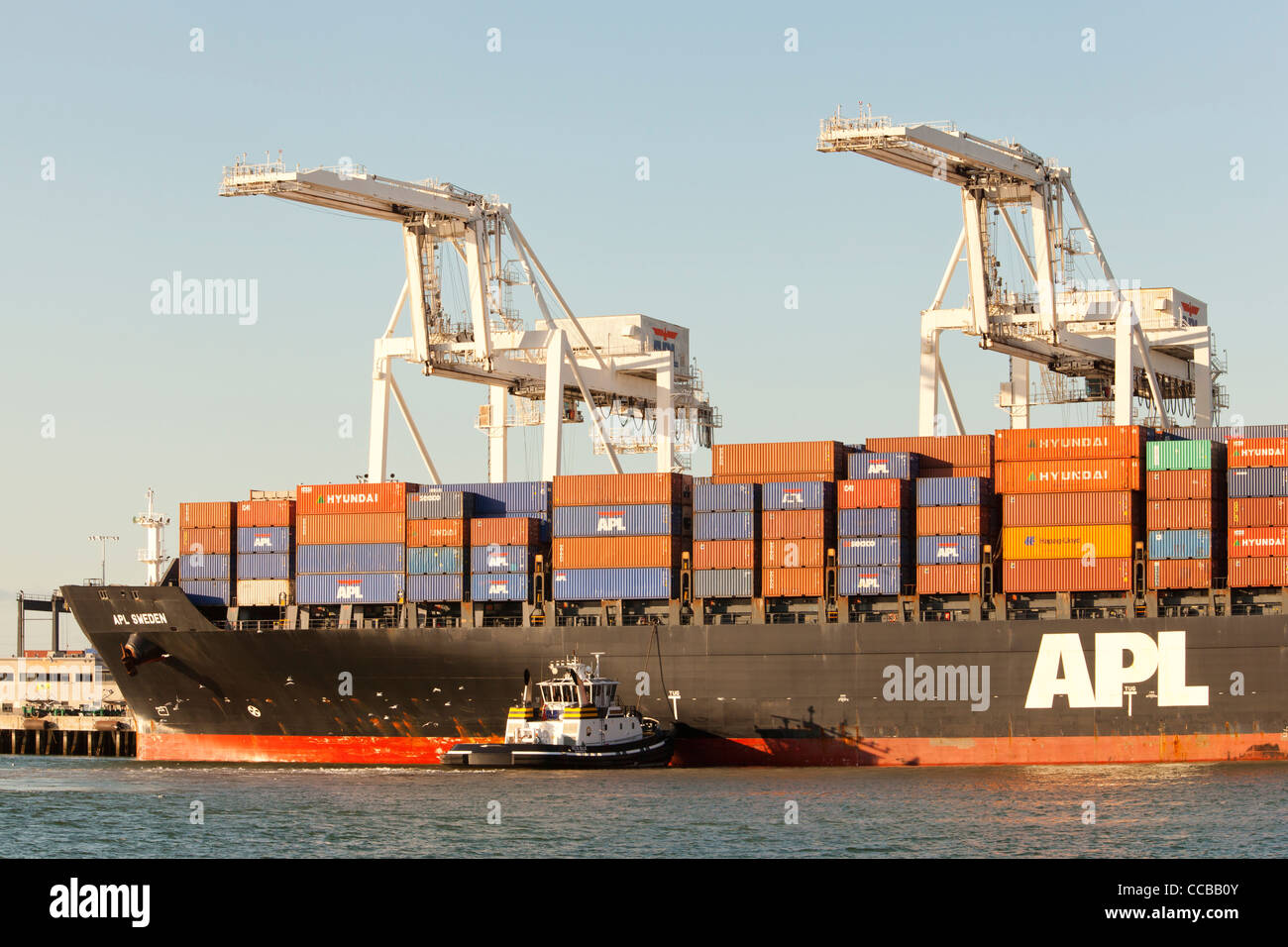 Gantry cranes pronto per scaricare merci contenitori da APL nave al porto di Oakland Foto Stock