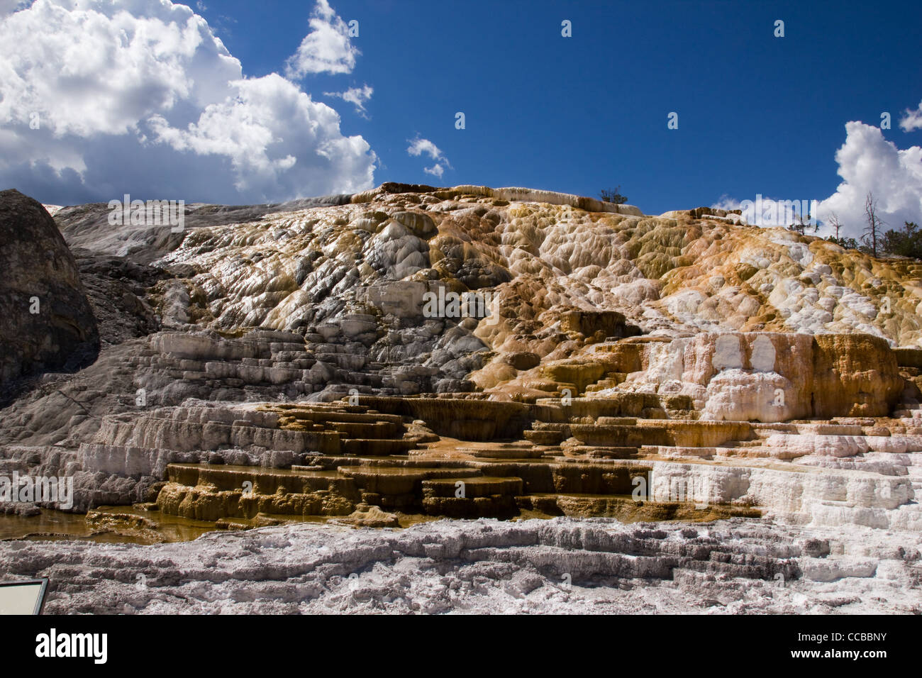 Questa è una delle terrazze a Mammoth Hot Springs a Yellowstone Foto Stock