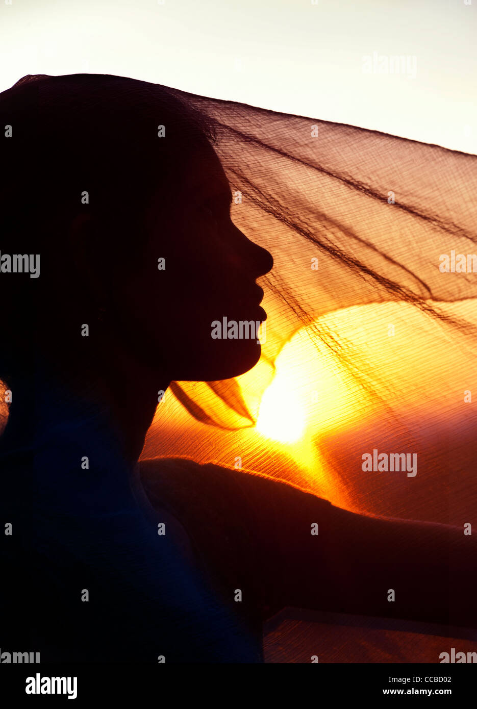 Ragazza indiana e il velo al tramonto. Silhouette. Andhra Pradesh, India Foto Stock