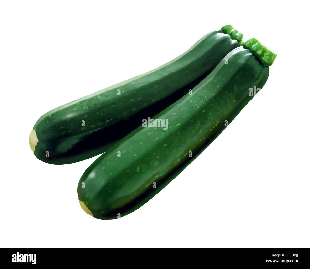 zucchine fresche nell'orto, zucchine vegetali fresche, zucchine di recente  sviluppo Foto stock - Alamy