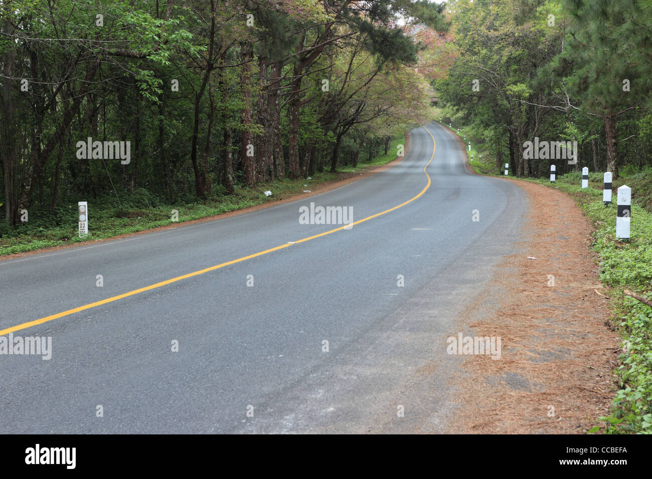 Strada curva Foto Stock