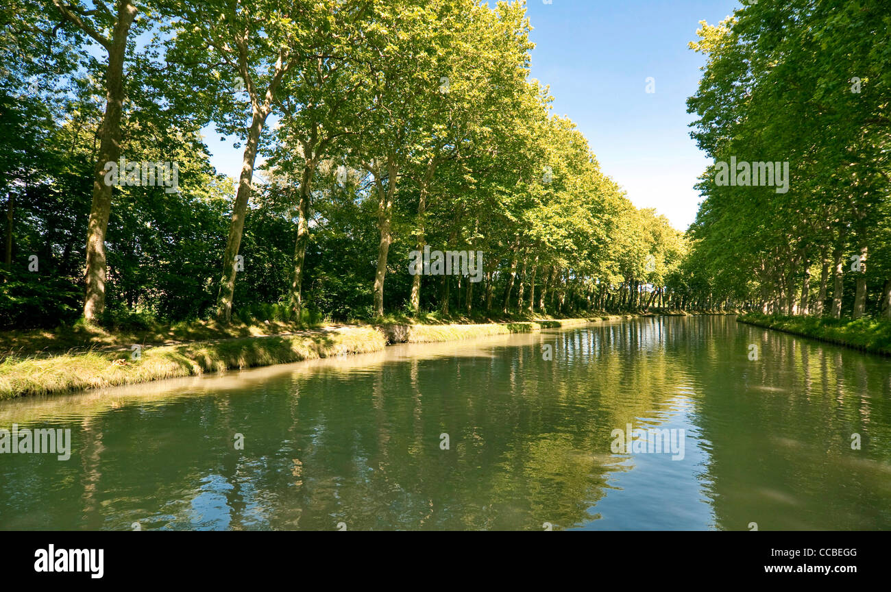 Il Canal du Midi delimitata da platani - Sud della Francia Foto Stock