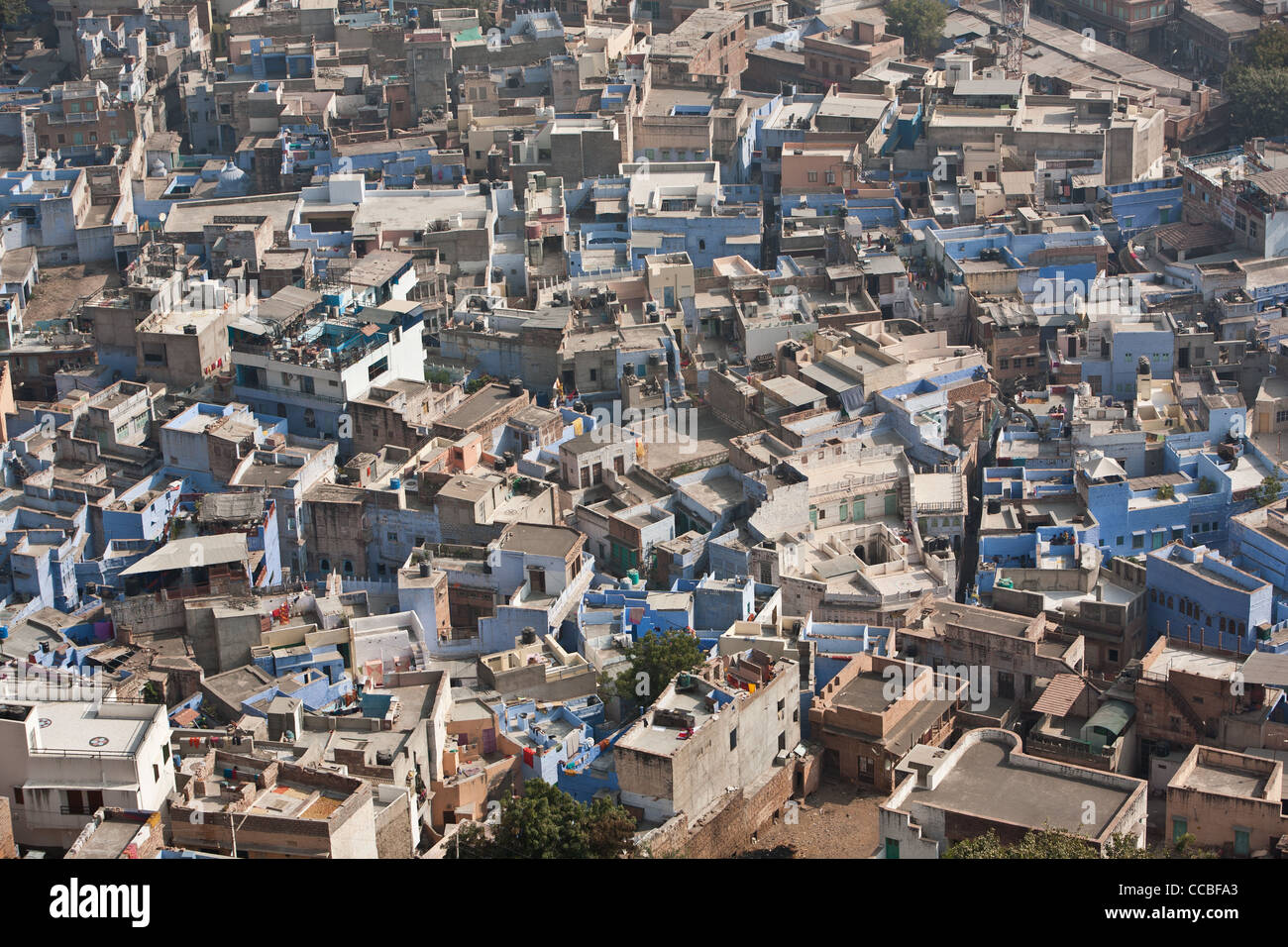 Viste della città blu di Jodhpur, visto da merlature del Forte Mehrangarh, Jodhpur, nel Rajasthan, India. Foto Stock