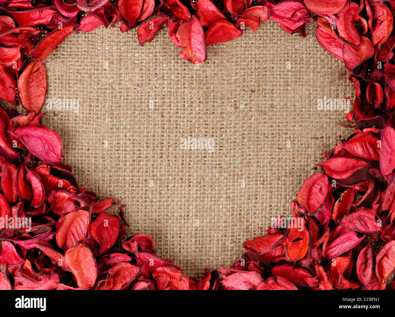 Petali rossi a forma di cuore su sfondo nero semplice che rappresentano  amore e romanticismo Foto stock - Alamy