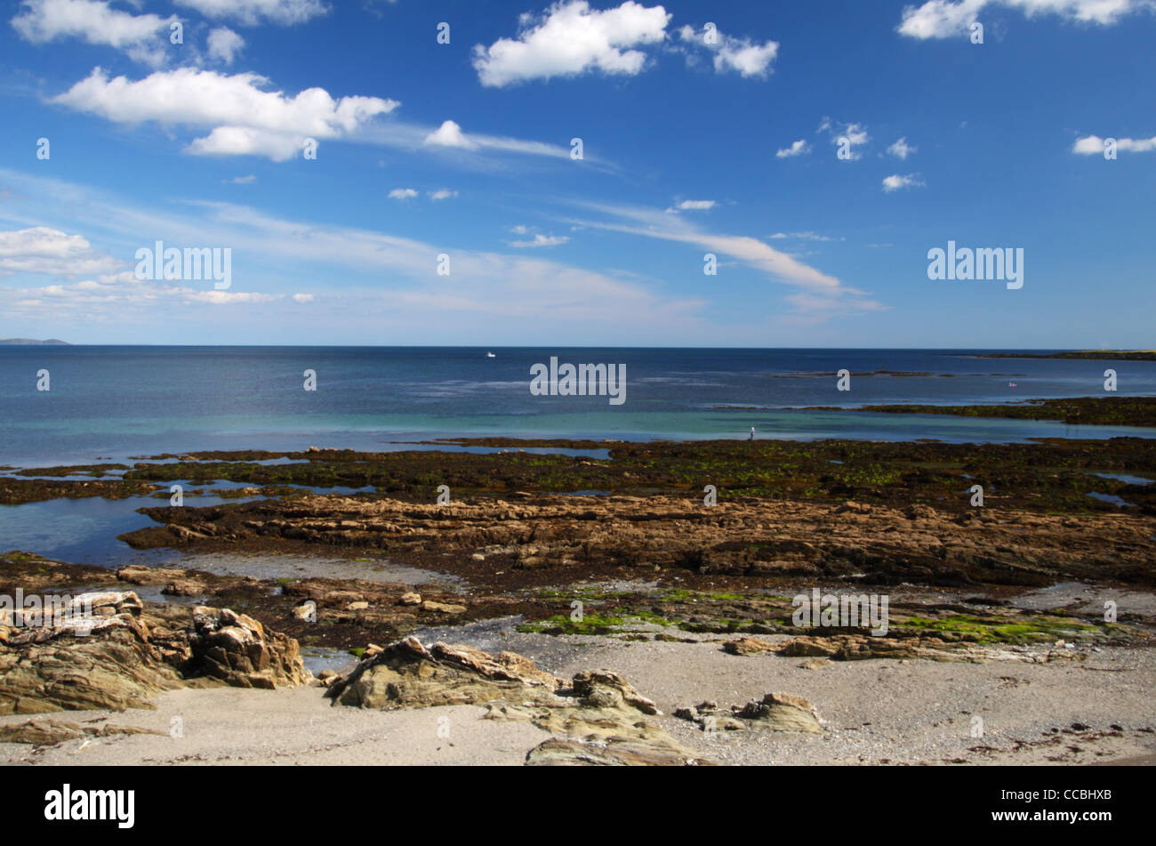 New Scenic 5 posti costa lungo Hannefore Beach a Looe, Cornwall, Regno Unito Foto Stock