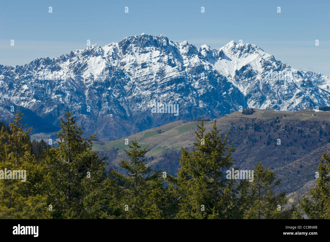 Monte Alben, grione mountain, Italia Foto Stock