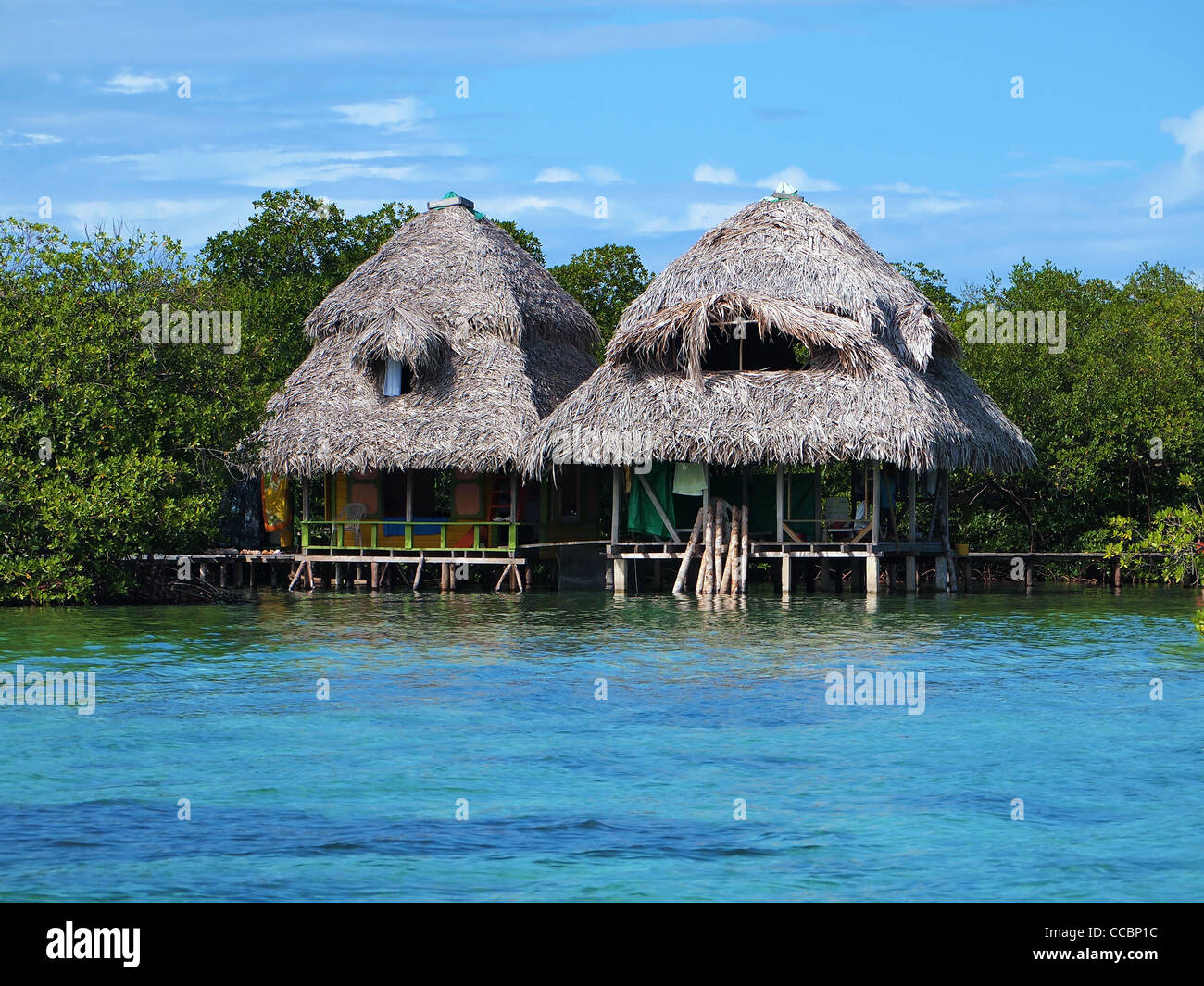 Over water bungalows con alberi di mangrovia, Mar dei Caraibi, Panama Foto Stock