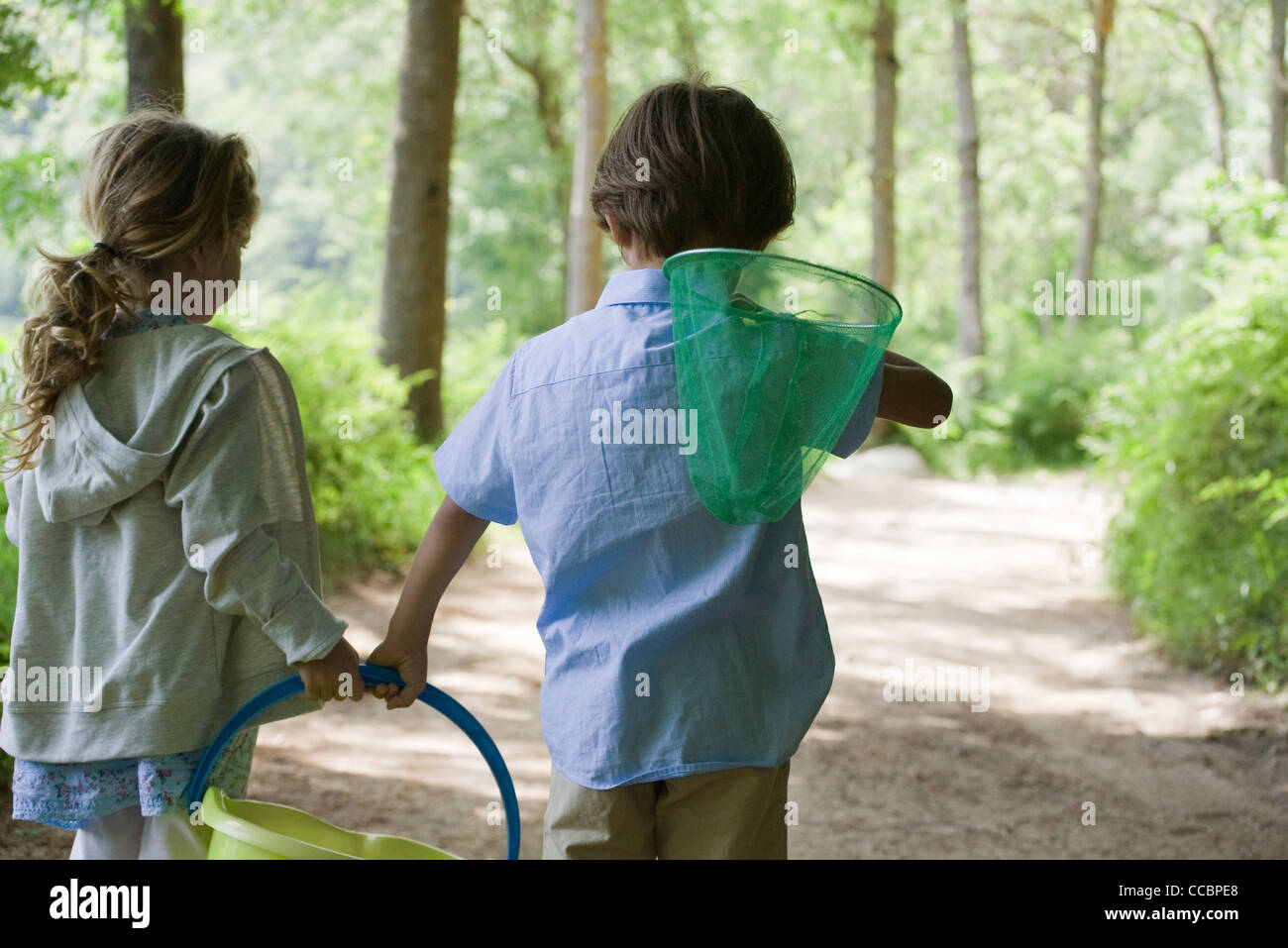 Bambini passeggiate nel bosco insieme con butterfly net e benna Foto Stock