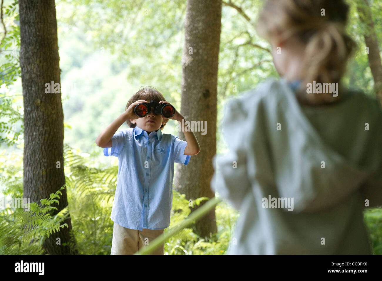 I bambini nei boschi, ragazzo cerca attraverso il binocolo Foto Stock