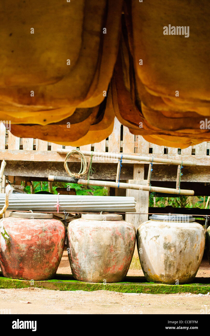 Giare di acqua per la raccolta di acqua piovana può essere visto ovunque nella campagna della Thailandia. Foto Stock