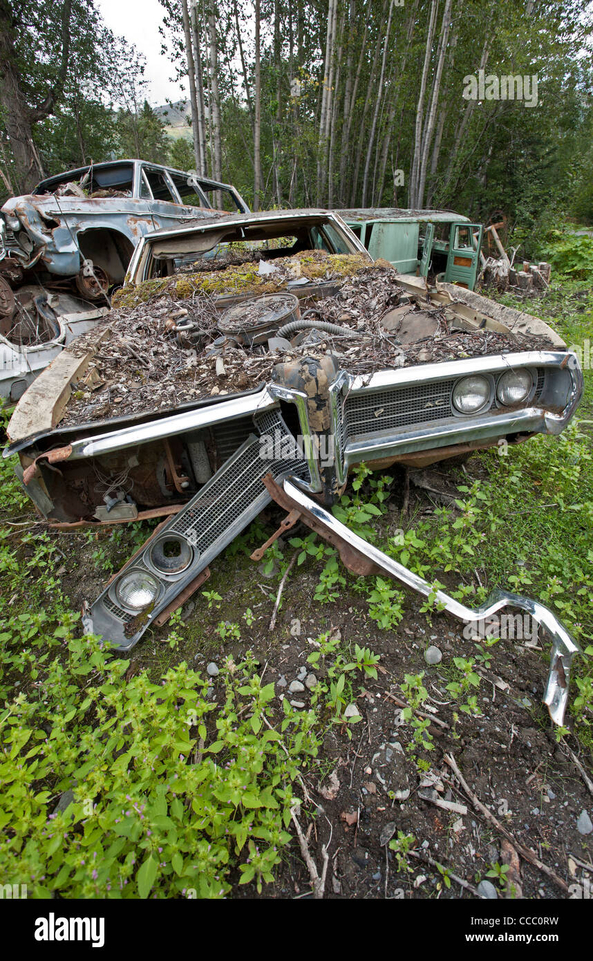 Il cimitero di auto. La speranza. L'Alaska. Stati Uniti d'America Foto Stock