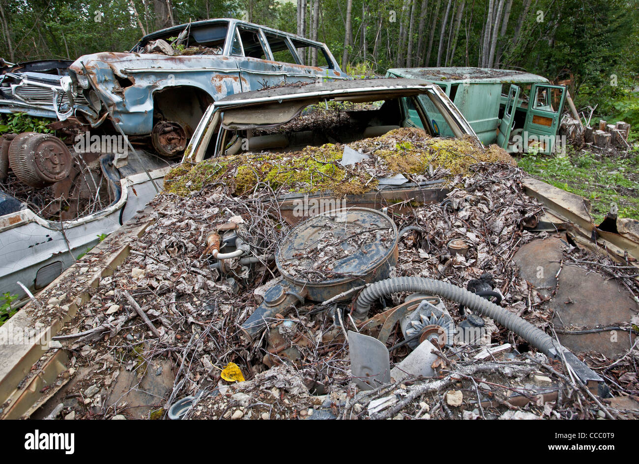 Il cimitero di auto. La speranza. L'Alaska. Stati Uniti d'America Foto Stock
