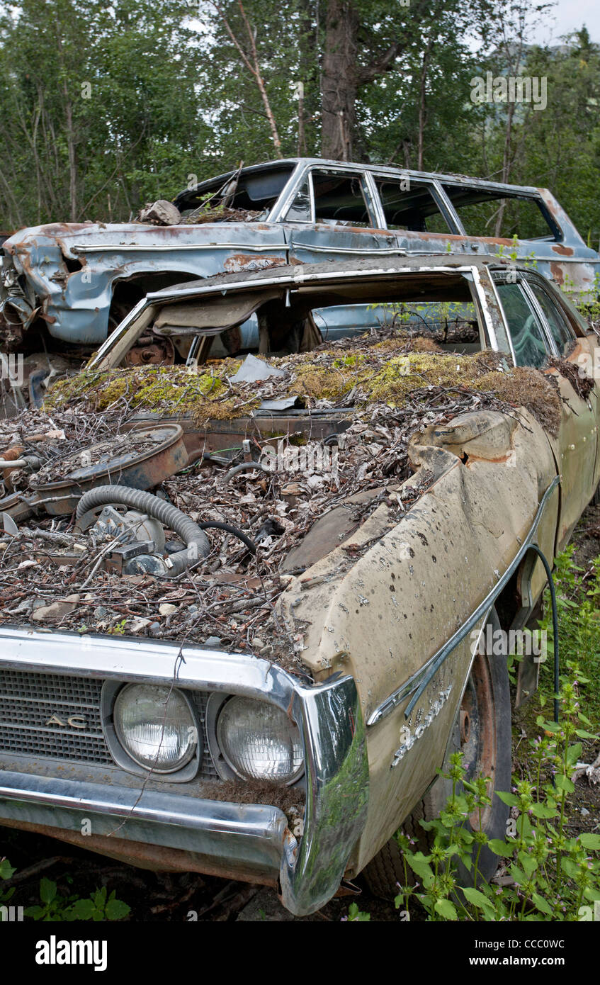 Il cimitero di auto. La speranza. L'Alaska. Stati Uniti d'America Foto Stock