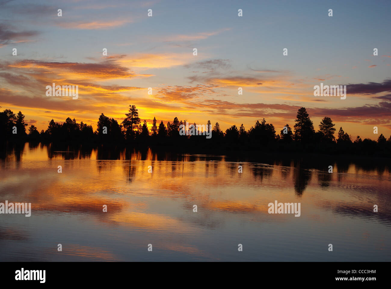 Lago vicino Flaming Gorge, Wyoming Foto Stock