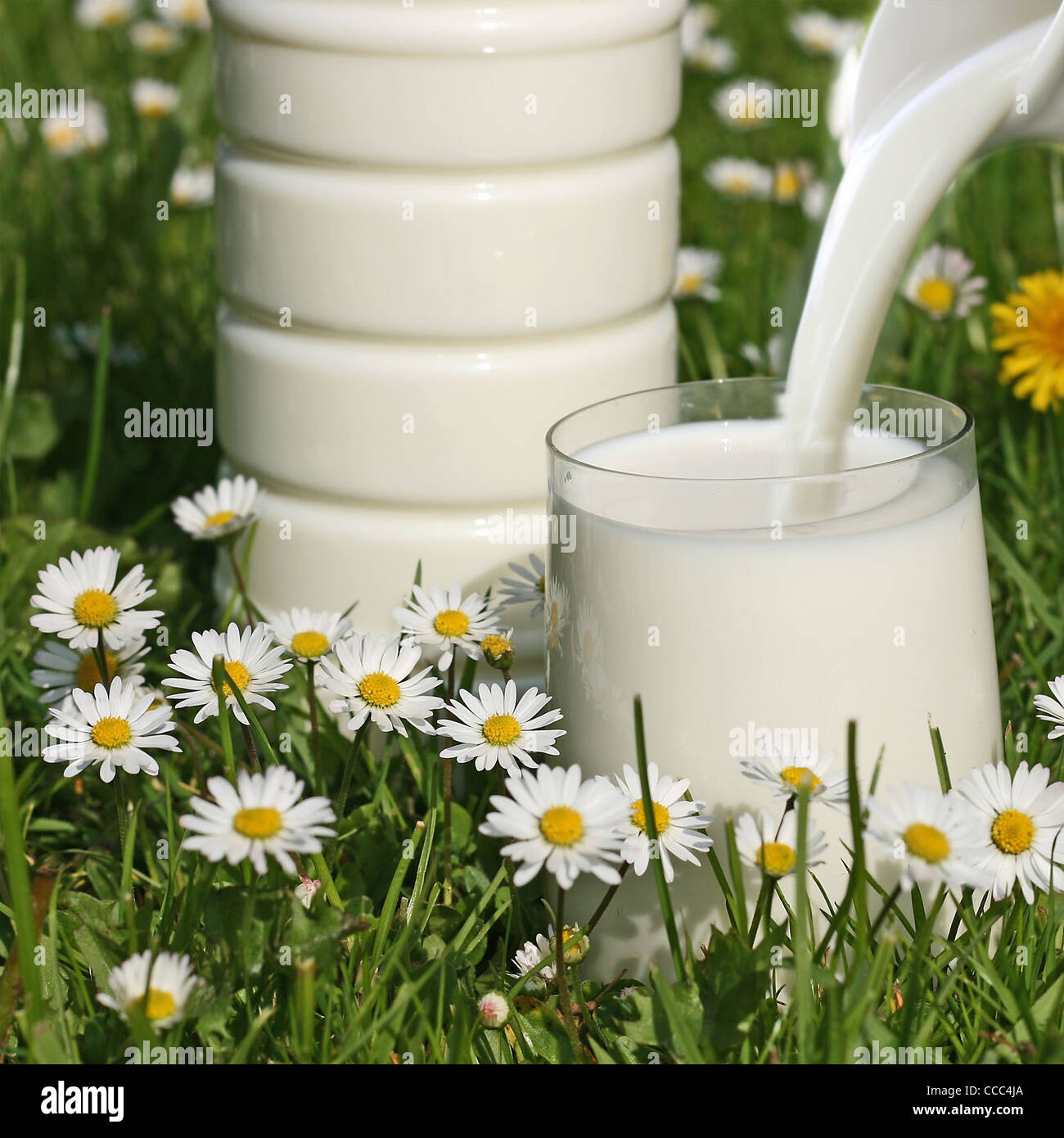 Il latte, erba e fiori Foto Stock